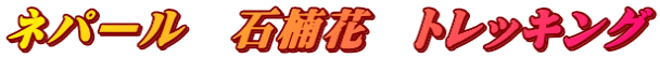 ネパール　石楠花　トレッキング